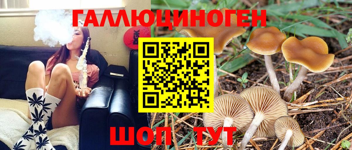 Альметьевск  Галлюциногенные грибы GOLDEN TEACHER  Вход с VPN 
