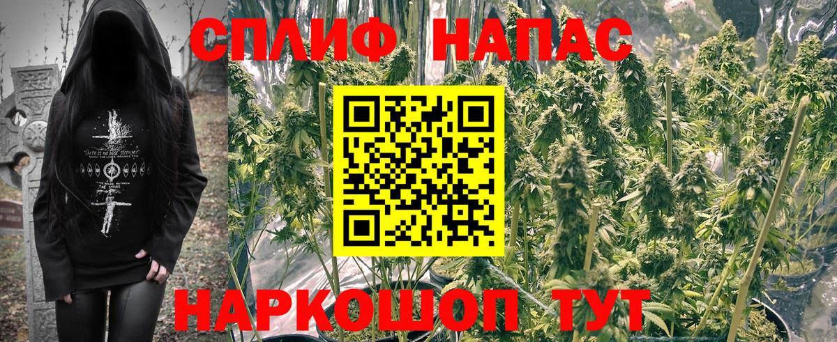 Каннабис тримм  Вход с VPN  Каннабис Bruce Banner  Альметьевск  Шишки марихуана гибрид 